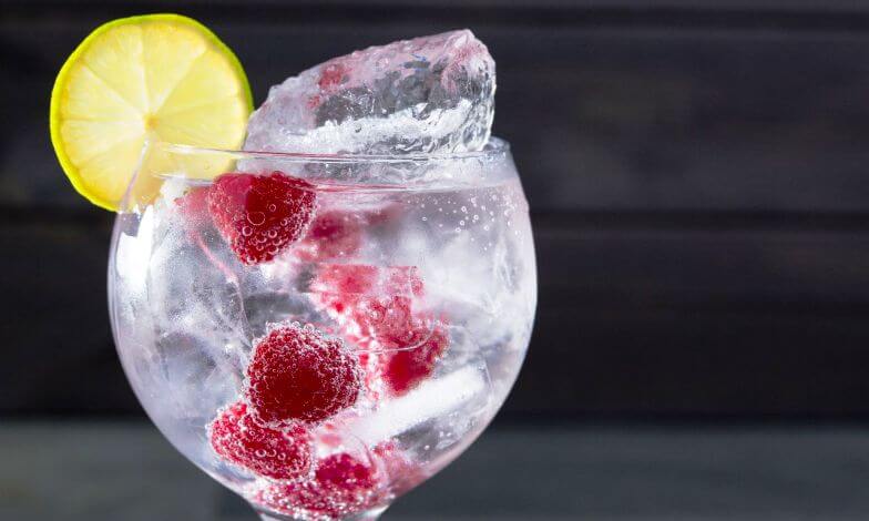 Un gin tonic perfecto