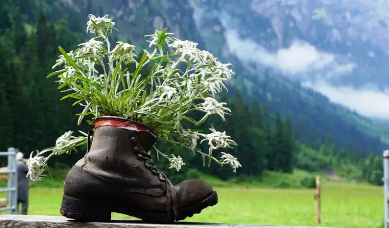 Turismo de naturaleza en Bizkaia