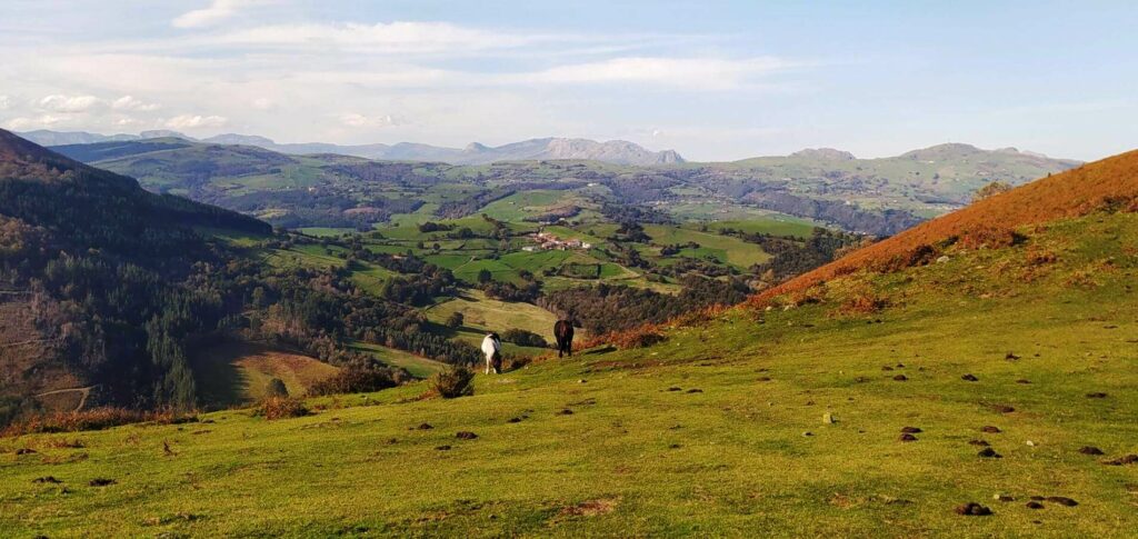 desafíos del turismo rural
