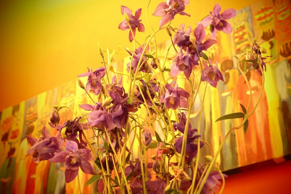 Detalle flores gailurretan — Gailurretan, Valle de Karrantza